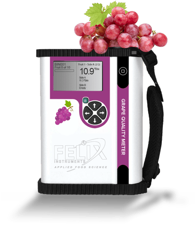 GRAPE unit GRAPE unit
