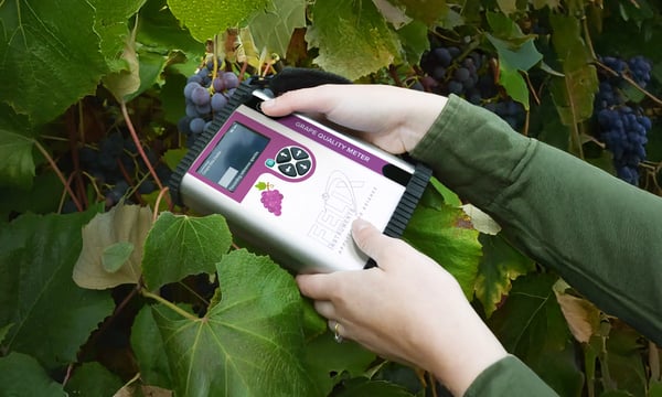 Grape Meter 3 Grape Meter 3