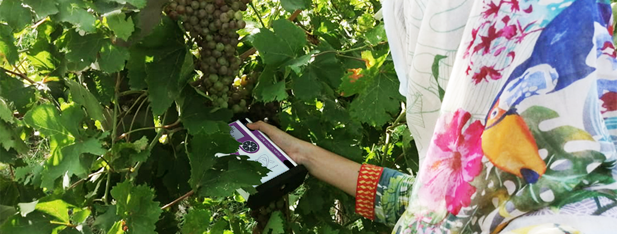 Grape Quality Meter-1 Grape Quality Meter-1